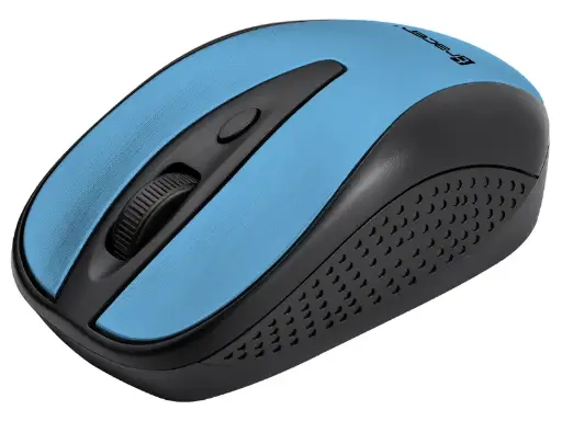 Mouse