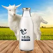 milk